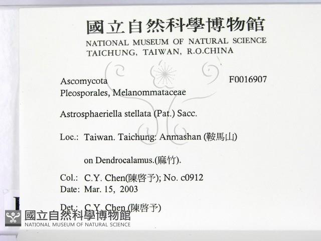 登錄號:F0016907藏品圖，第2張