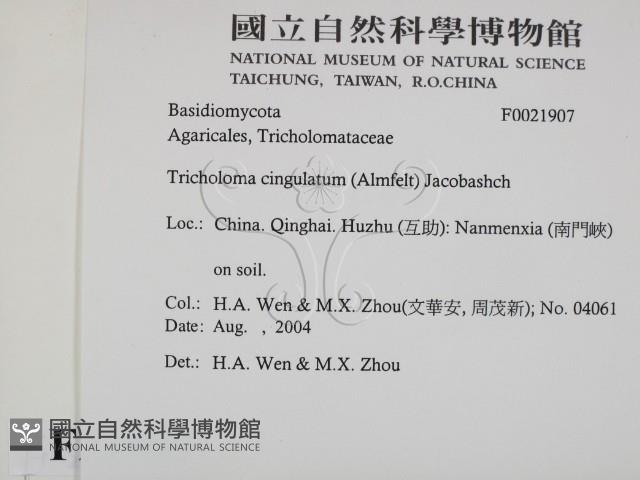 登錄號:F0021907藏品圖，第2張