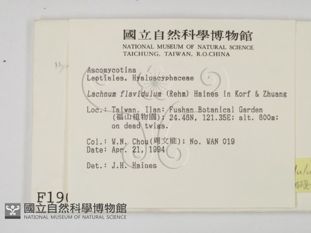 登錄號:F0001907藏品圖，第2張