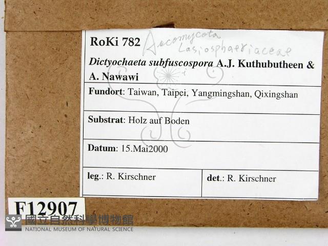 登錄號:F0012907藏品圖，第2張