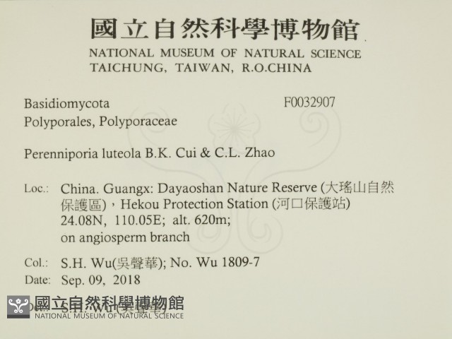 登錄號:F0032907藏品圖，第2張