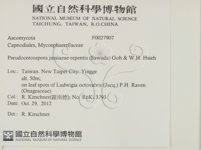 登錄號:F0027907藏品圖，第2張