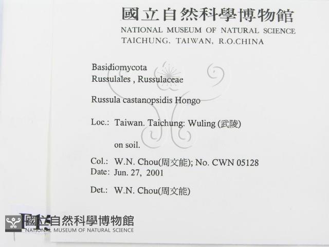 登錄號:F0015907藏品圖，第2張