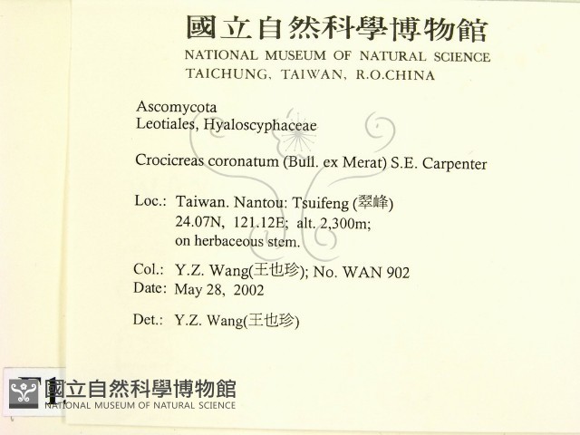登錄號:F0013907藏品圖，第2張