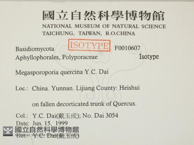 登錄號:F0010607藏品圖，第2張