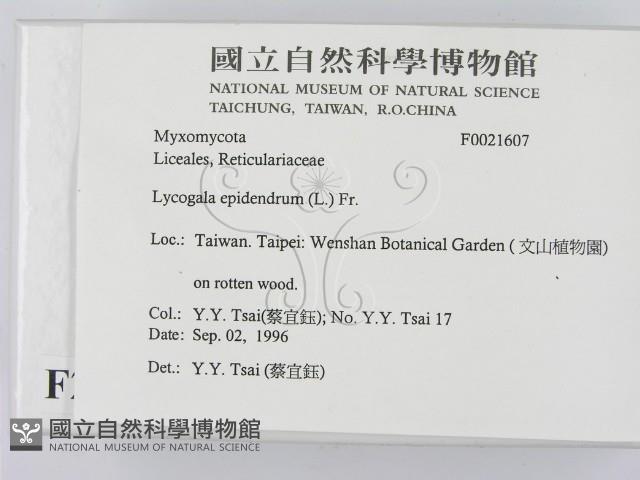 登錄號:F0021607藏品圖，第2張