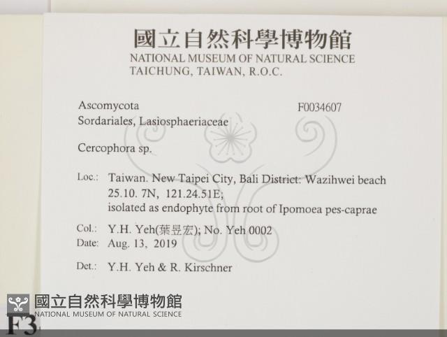 登錄號:F0034607藏品圖，第2張