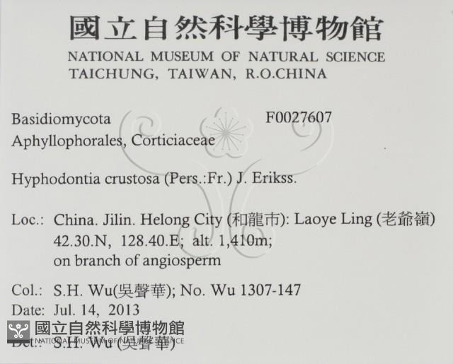 登錄號:F0027607藏品圖，第2張