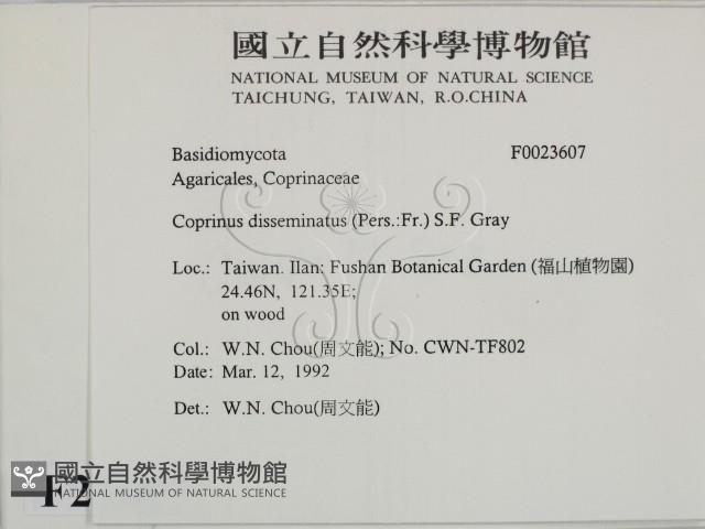 登錄號:F0023607藏品圖，第2張