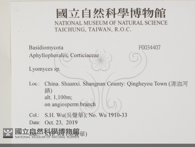 登錄號:F0034407藏品圖，第2張