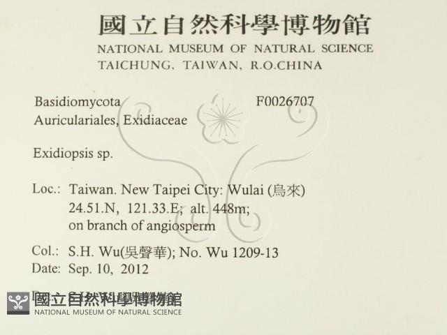 登錄號:F0026707藏品圖，第2張