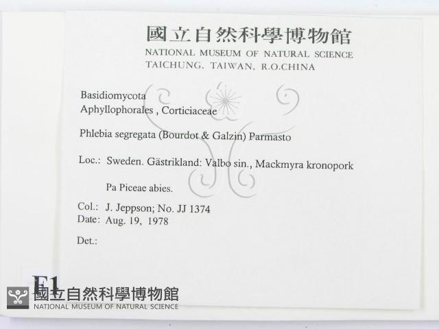 登錄號:F0016707藏品圖，第2張