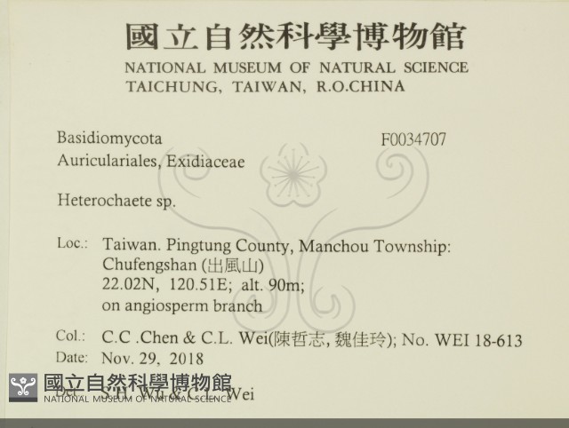 刺皮菌屬藏品圖，第2張
