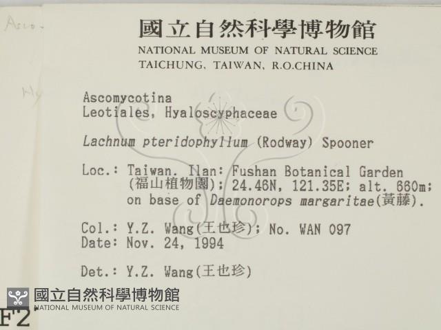 登錄號:F0002707藏品圖，第2張