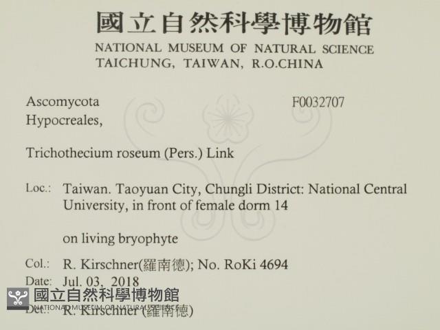 登錄號:F0032707藏品圖，第2張