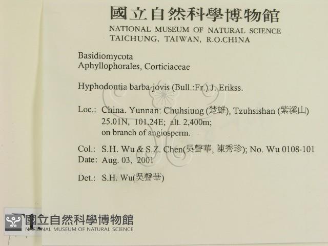 登錄號:F0013707藏品圖，第2張
