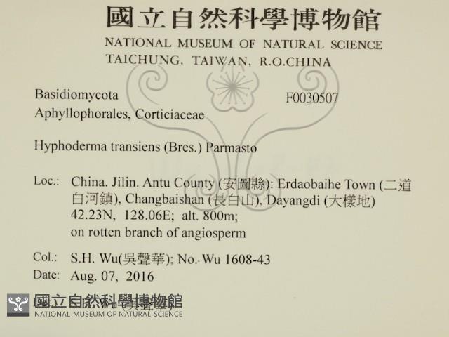 登錄號:F0030507藏品圖，第2張