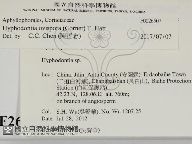 登錄號:F0026507藏品圖，第2張