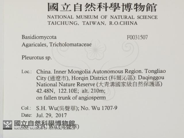登錄號:F0031507藏品圖，第2張