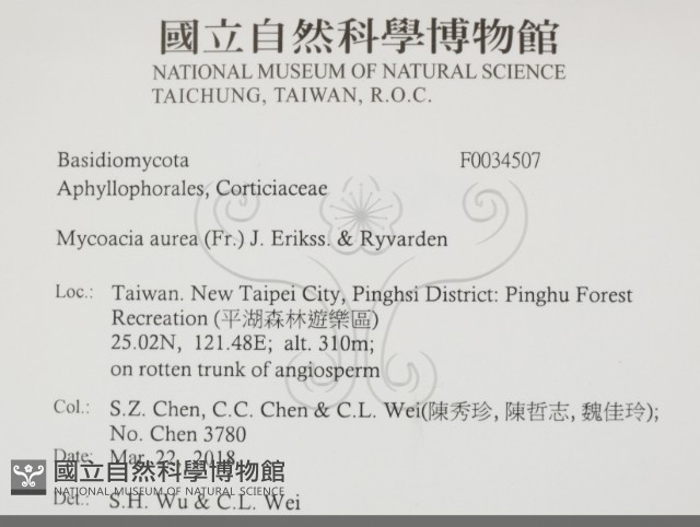 登錄號:F0034507藏品圖，第2張