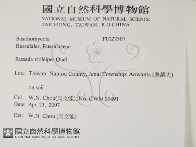 登錄號:F0027507藏品圖，第2張