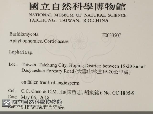 登錄號:F0033507藏品圖，第2張