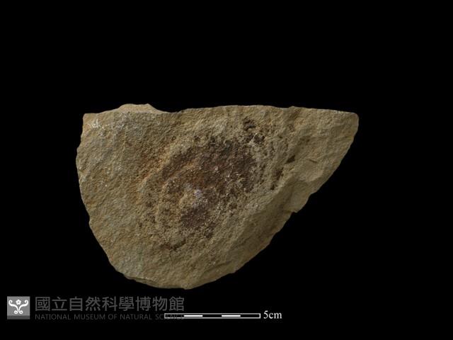 砍砸器藏品圖，第1張