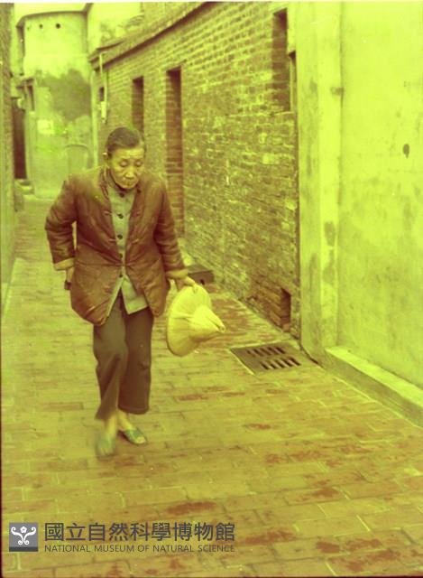 1950至2006年臺灣常民生活藏品圖，第1張
