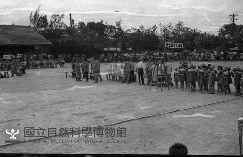 1950至2006年臺灣常民生活藏品圖，第1張