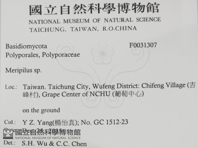 登錄號:F0031307藏品圖，第2張