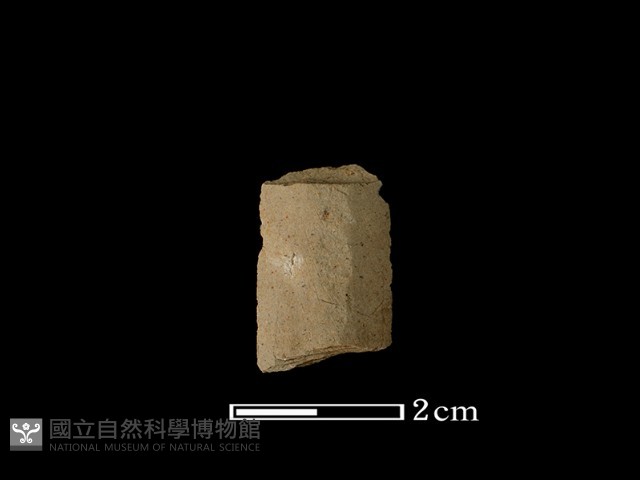 矛鏃形器藏品圖，第1張