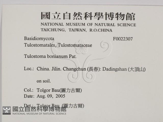 登錄號:F0022307藏品圖，第2張