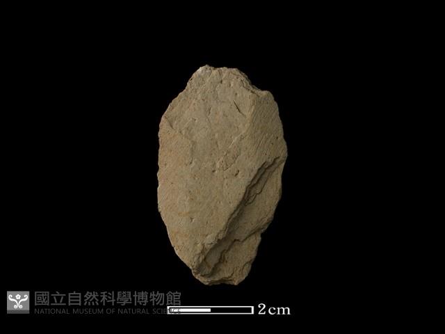 矛鏃形器藏品圖，第1張