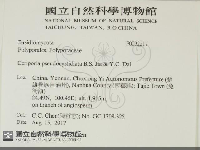 登錄號:F0032217藏品圖，第2張