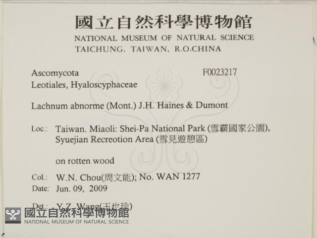 登錄號:F0023217藏品圖，第2張