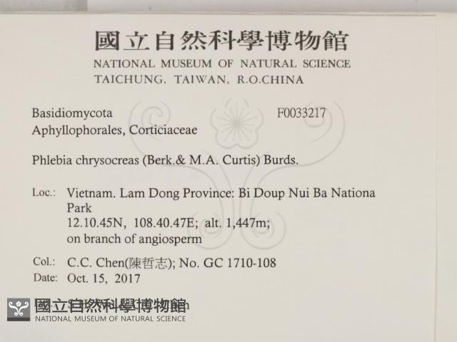 登錄號:F0033217藏品圖，第2張