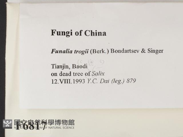 登錄號:F0006817藏品圖，第2張