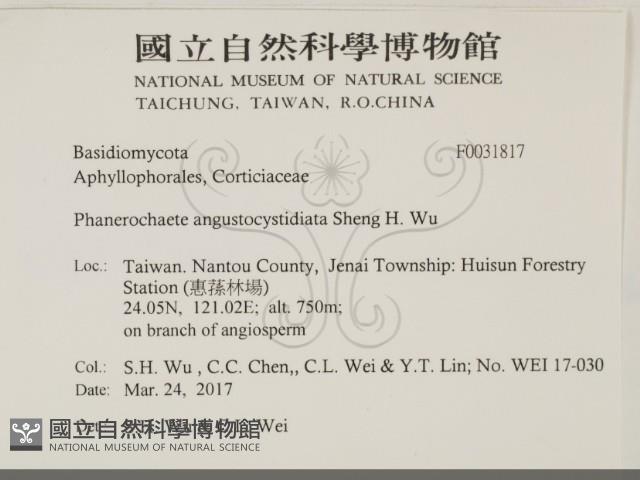 登錄號:F0031817藏品圖，第2張