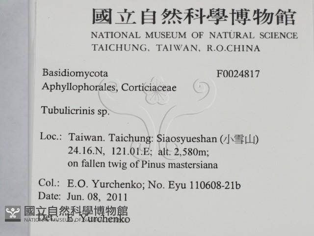 登錄號:F0024817藏品圖，第2張