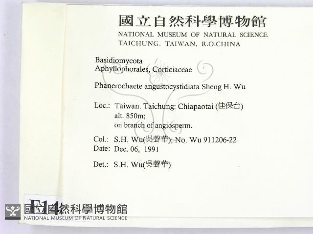 登錄號:F0014817藏品圖，第2張
