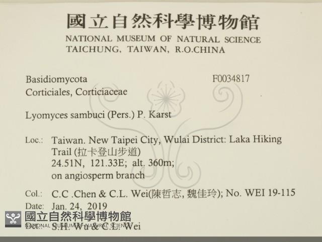 登錄號:F0034817藏品圖，第2張