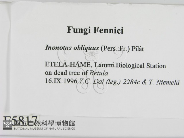 登錄號:F0005817藏品圖，第2張