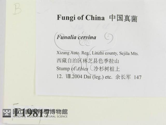 登錄號:F0019817藏品圖，第2張