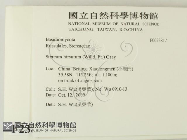 登錄號:F0023817藏品圖，第2張