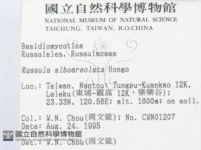 登錄號:F0003817藏品圖，第2張