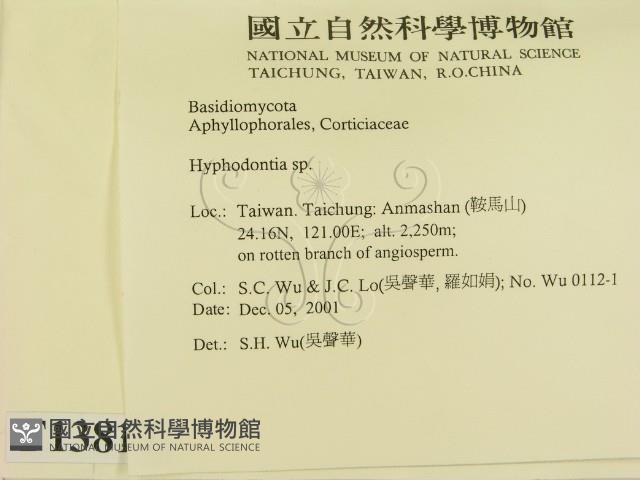 登錄號:F0013817藏品圖，第2張