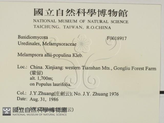 登錄號:F0018917藏品圖，第2張