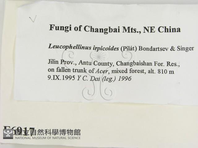 登錄號:F0006917藏品圖，第2張