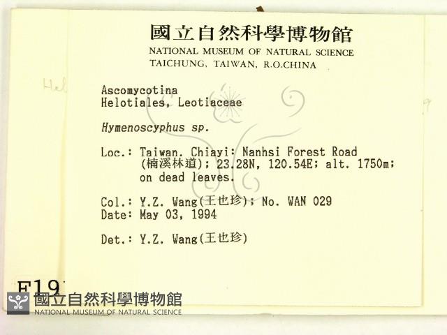 登錄號:F0001917藏品圖，第2張