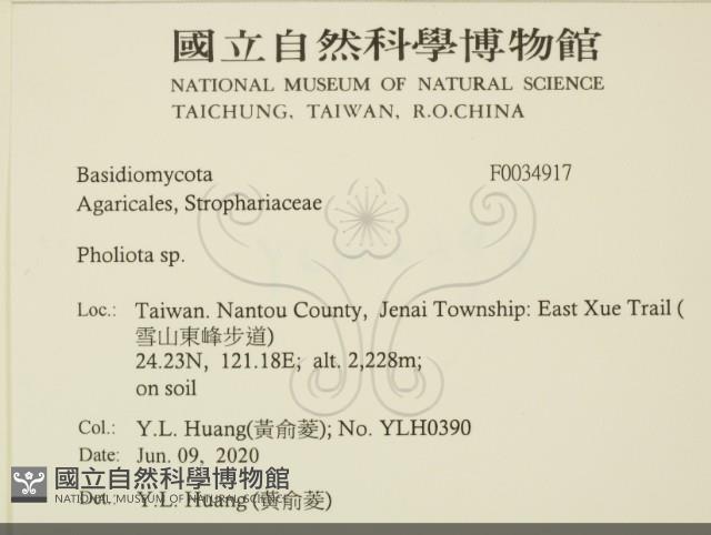 登錄號:F0034917藏品圖，第2張